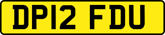 DP12FDU