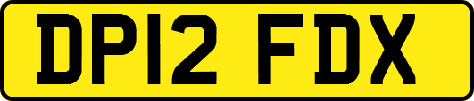 DP12FDX