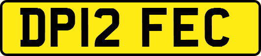 DP12FEC