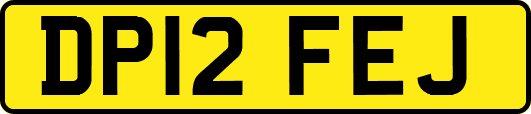 DP12FEJ