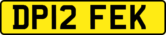 DP12FEK