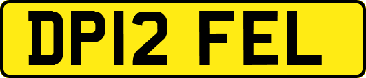 DP12FEL