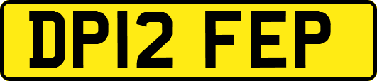 DP12FEP