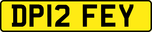 DP12FEY