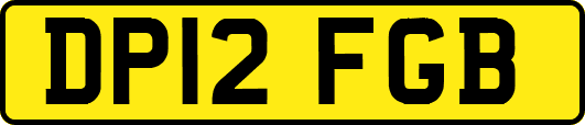 DP12FGB