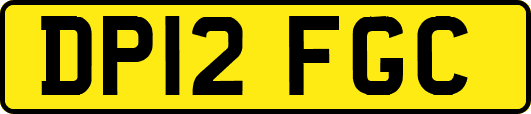 DP12FGC