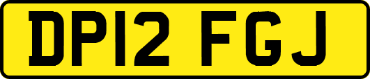 DP12FGJ