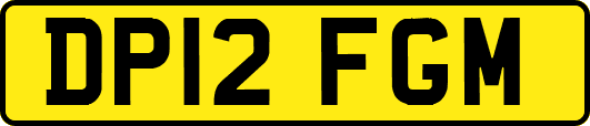 DP12FGM