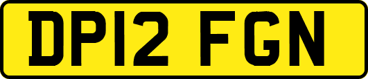 DP12FGN
