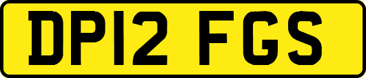 DP12FGS