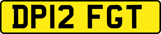 DP12FGT