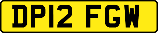 DP12FGW