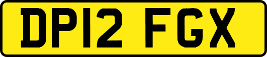 DP12FGX