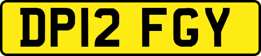 DP12FGY