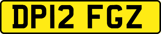 DP12FGZ