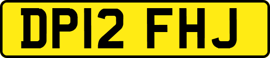 DP12FHJ