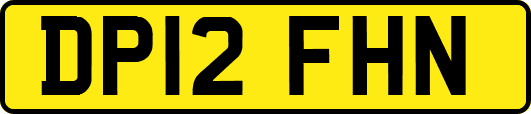 DP12FHN