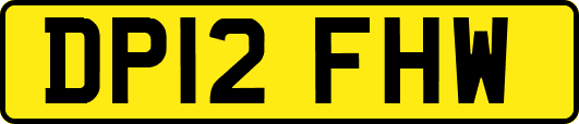 DP12FHW