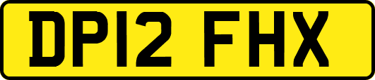 DP12FHX