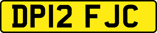 DP12FJC