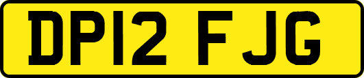 DP12FJG