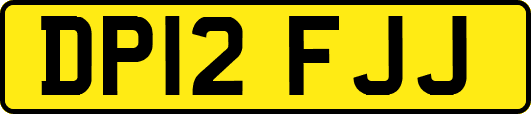 DP12FJJ