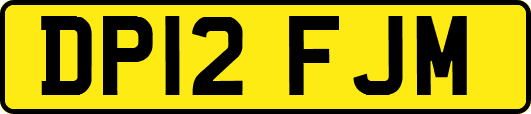 DP12FJM