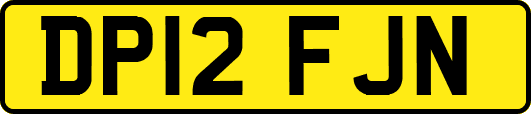 DP12FJN