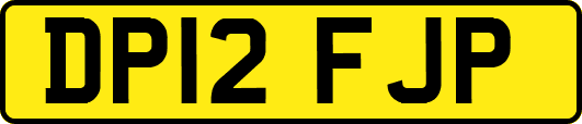 DP12FJP