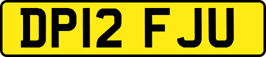 DP12FJU