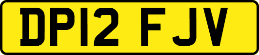 DP12FJV