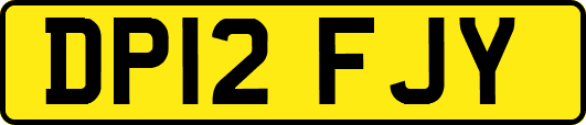 DP12FJY