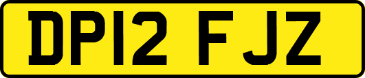 DP12FJZ