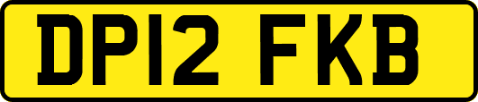 DP12FKB