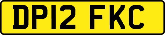 DP12FKC