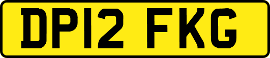 DP12FKG