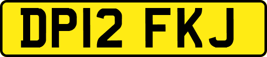 DP12FKJ
