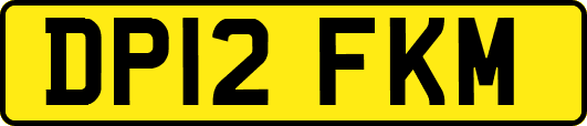 DP12FKM