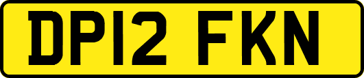 DP12FKN