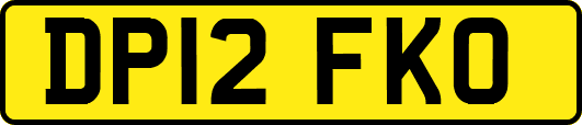 DP12FKO
