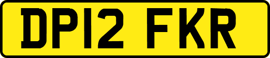 DP12FKR