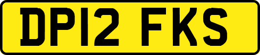 DP12FKS