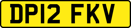 DP12FKV