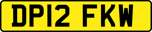 DP12FKW