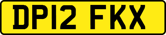 DP12FKX