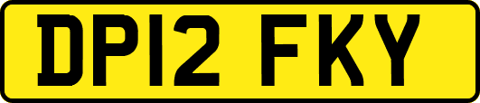 DP12FKY