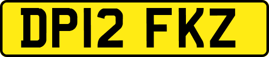 DP12FKZ