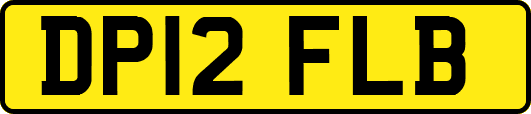 DP12FLB