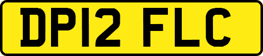 DP12FLC