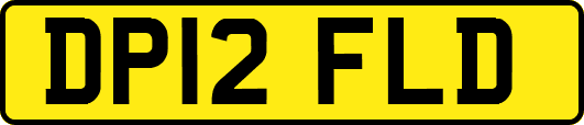 DP12FLD